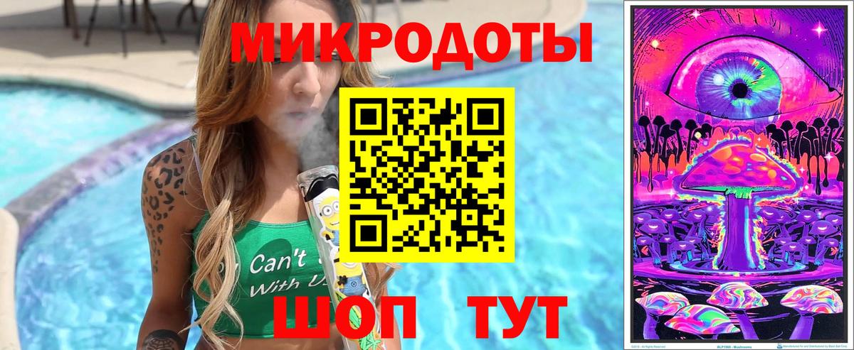 Качканар  Псилоцибиновые грибы Psilocybe  где найти   Вход с VPN 